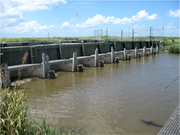 Pecan Island Freshwater Introduction Project HydroLearn416