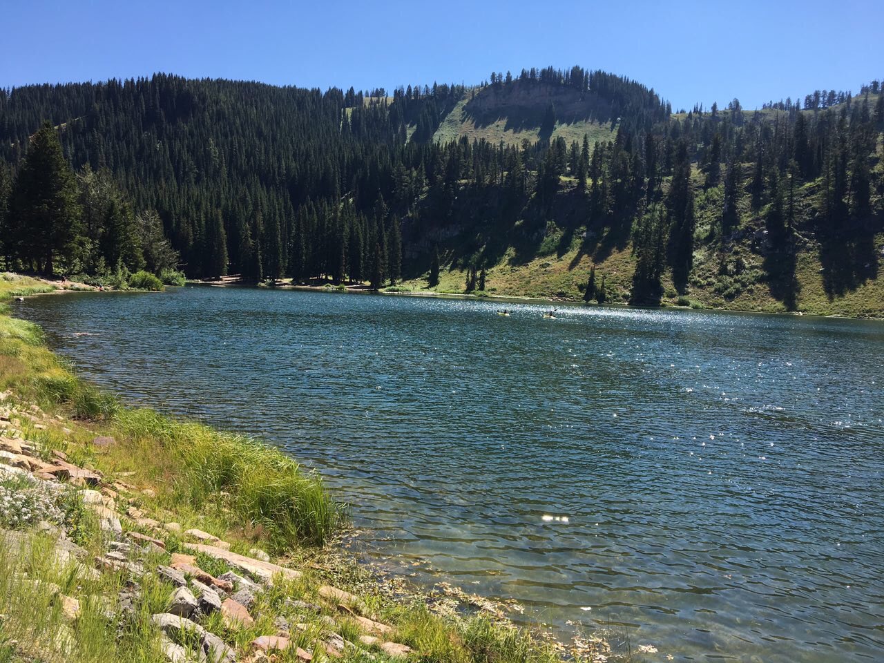 Process-Based Hydrological Modelling GEOG825